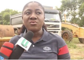 NPP is the only political party to fulfill its promises – Akosua Manu