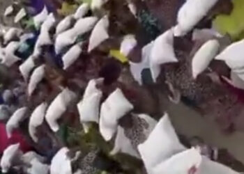 VIDEO: Government gives Nigeria protesters a bag of rice each to stop protesting #Endbadgovernance