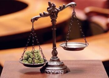 Four Dragged Before Court Over Cannabis Smuggled In Disguised Gift Box