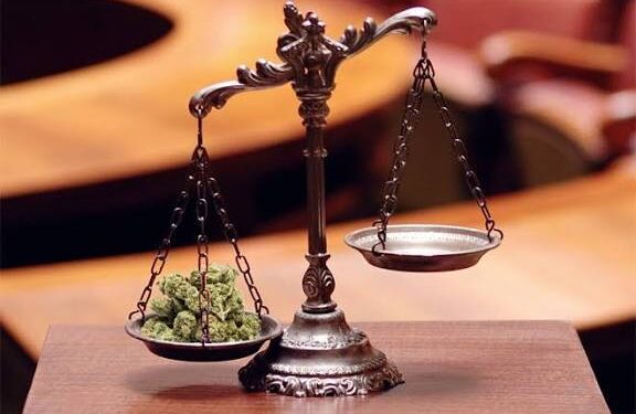 Four Dragged Before Court Over Cannabis Smuggled In Disguised Gift Box