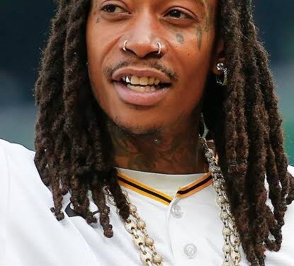 Wiz Khalifa Sentenced to 9 Months in Romanian Jail Over On-Stage Cannabis Use