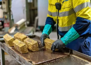 Gov’t To  Cancel Licenses 50 Large-Scale Mining Firms Over Regulatory Breaches