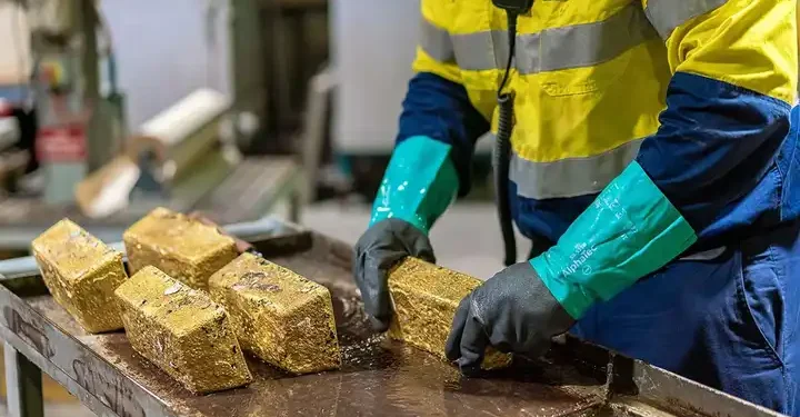 Gov’t To  Cancel Licenses 50 Large-Scale Mining Firms Over Regulatory Breaches