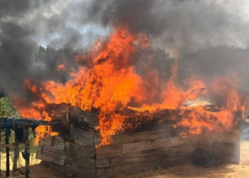 NAIMOS Cracks Down on Illegal Mining in Amenfi Central